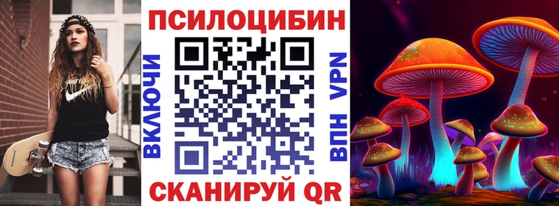 купить закладку  Тейково  Галлюциногенные грибы мухоморы 